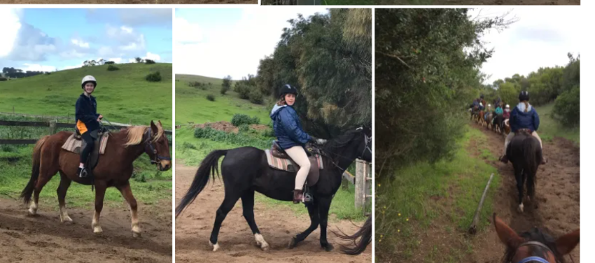 Horseriding in 2017